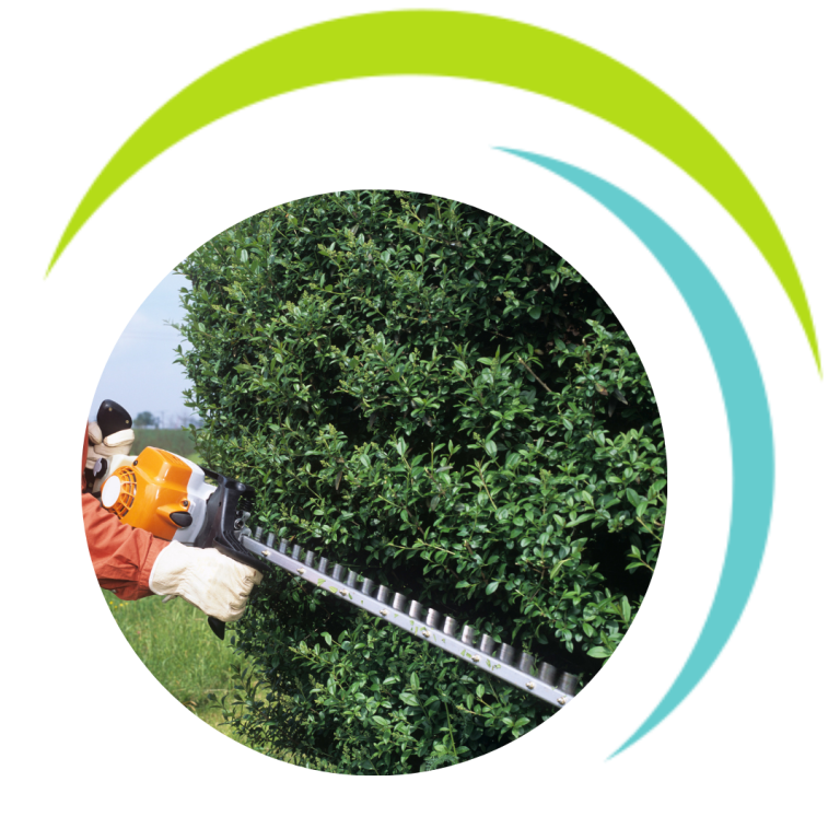 Grünanlagen- und Außenpflege Eine Person schneidet eine Hecke mit einer elektrischen Heckenschere.